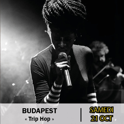 budapest-concert