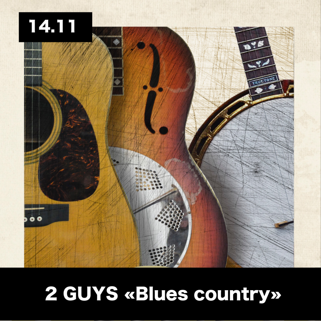 2 guys-concert